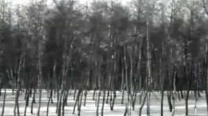Русская зима -- Нина Бродская