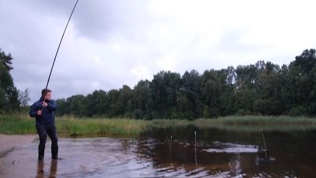 Удачная рыбалка на линя в Кобоне!