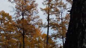 Забайкалье , посёлок Букачача