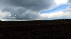 Подосиновики Прячутся В Зарослях Земляники! Жуки-Олени! Грибы Лето 2021!