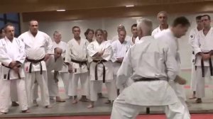 Jean-Pierre Lavorato - karaté do shotokan volume 7