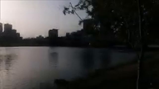 Эвкалипты, пеликан и турецкий чай. смотреть онлайн