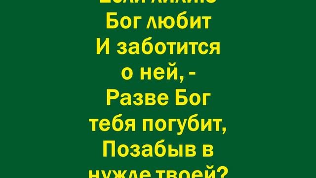 Посмотри, вблизи потока
