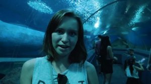 Паттайя. Океанариум в Паттайе. Underwater World Pattaya. Куда сходить в Паттайе?