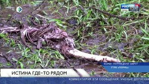 Коми-Пермяцкая "чупакабра"