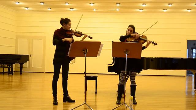 Mozart Duo for Violin&Viola I. Allegro смотреть онлайн