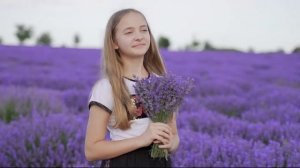 Лавандовое поле