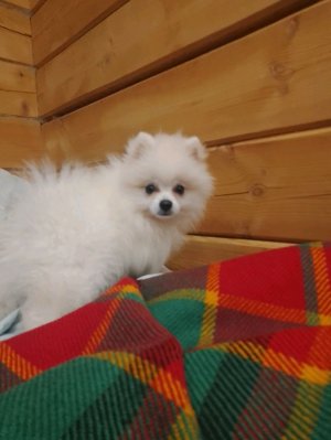 ОТВЕЧУ ВСЕМ!!!!!!!!!!!!🥺!!!!!!!☺️