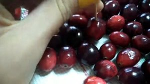Клюква в шоколаде, рецепт/ Готовим дома/ Полезный десерт