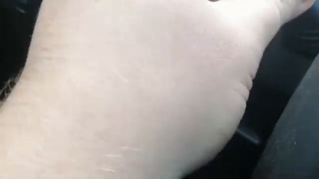 Opel Astra H 1.6 AT переделка с робота на автомат ? Перепродажа тачки. #Astra #Опельастра смотреть онлайн