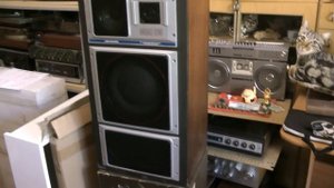 Колонки Электроника 35АС-015 против Radiotehnika 35АС-1