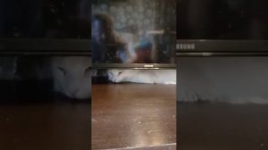 VID_20220615_071744.mp4_—_Видео.mp4