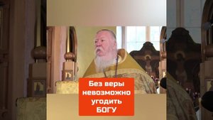 Без ВЕРЫ НЕВОЗМОЖНО угодить БОГУ - протоиерей Димитрий Смирнов