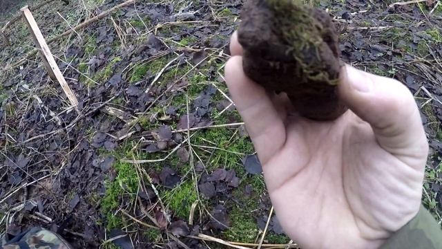 Царский рубль в лесу на хуторе. Поиск старины. Рубль Николая смотреть онлайн