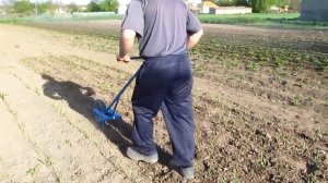 Ручной пропольник на огороде