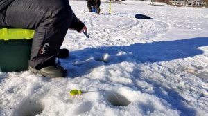 Гребной канал. Рыбалка в Нижнем Новгороде 2022