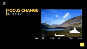 Nikon Z Tips: View Information in EVF