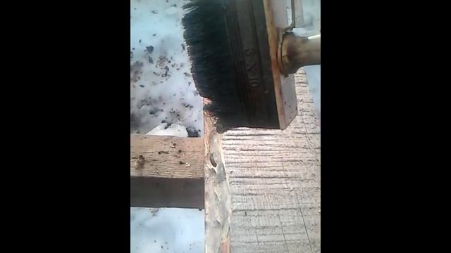 Как предотвратить поедание древесины вредителями!!! смотреть онлайн