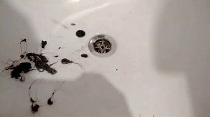 Как почистить слив в ванной | чистим слив обычной проволокой