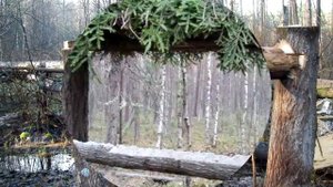 какие бывают солонцы ( виды)