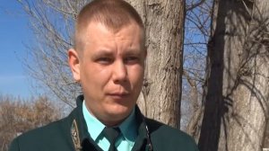 Всё о валежнике и как его собрать