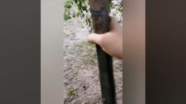 Купили супер плодовые деревья и наконец отдых на даче. смотреть онлайн