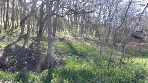 Сколько времени отсутствовала Хюррем, когда её похитили?