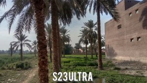 Samsung Galaxy S24 Ultra Vs Samsung Galaxy S23 Ultra Camera Test