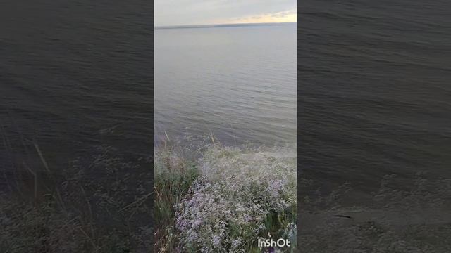 Крестово-Городище, прогулка по дикому лесу, вдоль крутого берега Волги, 22.06.2024