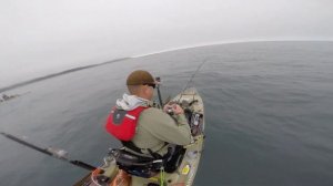 Kayak Fishing for MONSTER California Halibut - Pre Fishing for the Estero Kayak Challenge