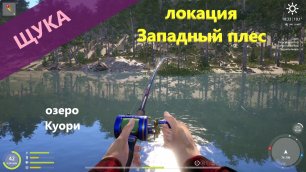 Русская рыбалка 4 - озеро Куори - Щука за камышами