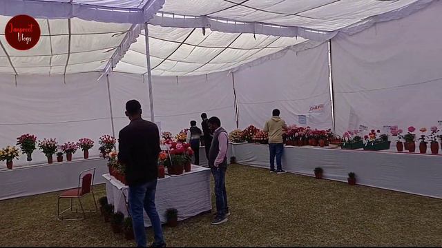 Best Rose show Pusa Institute Rose show @janpreetvlogs9034 смотреть онлайн