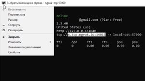 КАК ИГРАТЬ В МАЙНКРАФТ ЧЕРЕЗ ИНТЕРНЕТ БЕЗ ПРОГРАММ