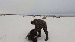 РЫБАЛКА НА ЧЕРНОВСКОМ ВОДОХРАНИЛИЩЕ. СКОЛЬКО ВОДЫ В ВОДОЁМЕ? ИСТОРИЧЕСКАЯ СПРАВКА.