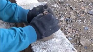 Ремонт тормозной камеры ПАЗ