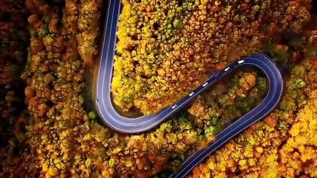 Осенняя меланхолия-yamaha cover смотреть онлайн