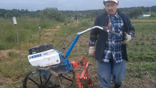 окучиваю картошку мотоблоком. насадка пропольник-рыхлитель