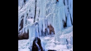 Падает Снег