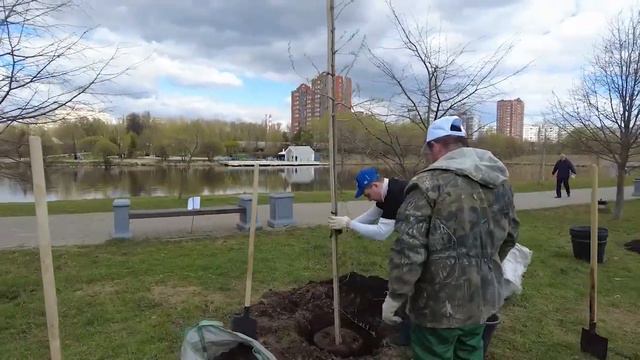 (12+) Масштабно и организованно прошел общеобластной субботник в Мытищах смотреть онлайн