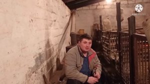 Что Выгодней ❓❓СВИНОМАТКИ ❓ИЛИ ОТКОРМ ❓