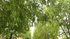 Зеленовка, Самарская область.