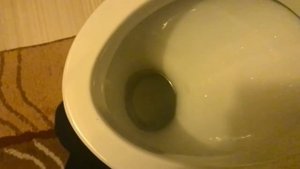 Качает гидрозатвор