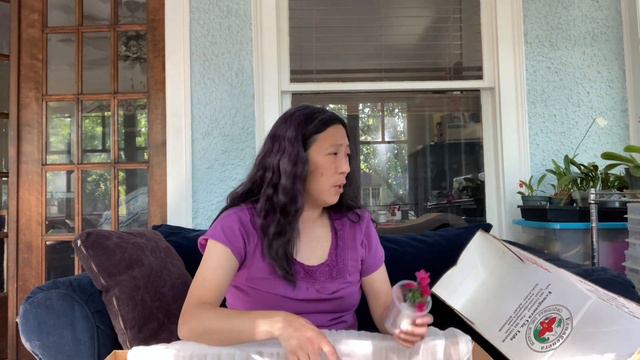 Orchid Hunters: Ecuagenera Unboxing смотреть онлайн