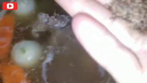 "Хомшурбо"-и точики/"Суп мясной с овощами" по таджикски.