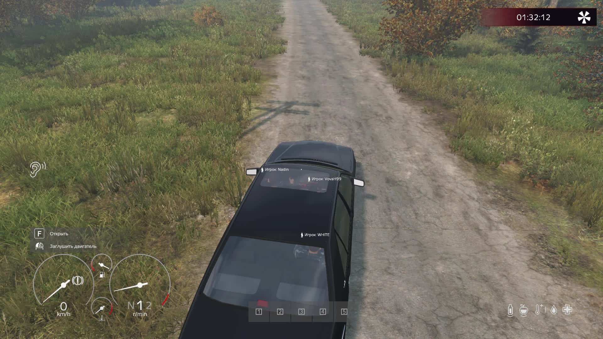 DayZ