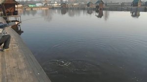 16.04.2018 на Форелевых водоёмах рыбхоза Гжелка