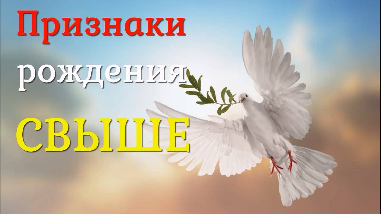 Рождение от воды и Духа. Признаки рождения свыше.