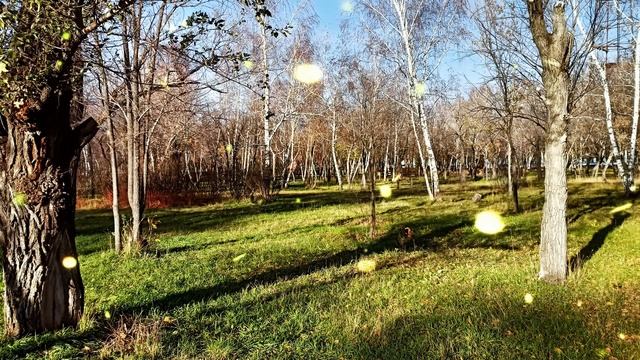 Свекровь, решила узнать правду о прошлом своей невестки, для этого отправилась в ее родную деревню смотреть онлайн