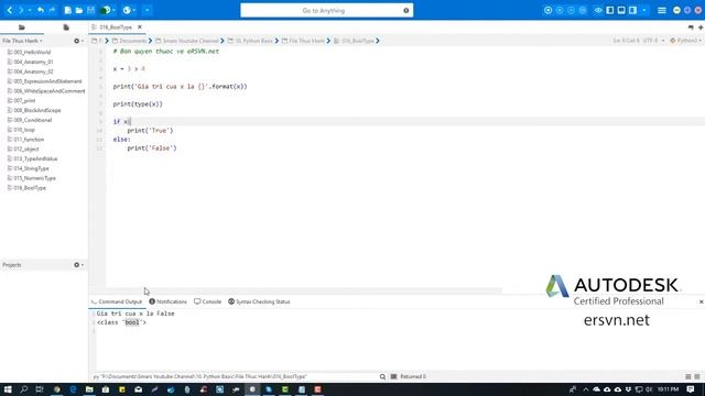 Cơ bản Python | Bài 17: Kiểu Bool (đúng - sai) trong Python