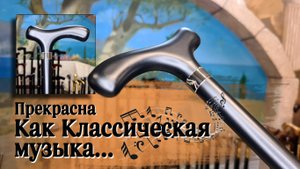 Где купить хорошую красивую трость |"Штутгарт" из Германии!